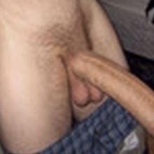 isohairybush