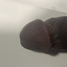DemonCock9520