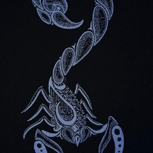 TalentedScorpio
