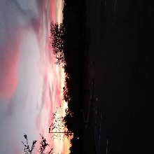 Bigbear93