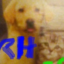 Rahzelh