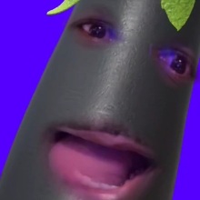 Tazertung