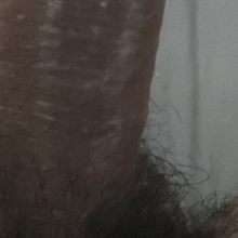Rockhdic69
