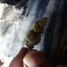 Leaked2freaks