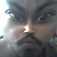 Xerxesjr