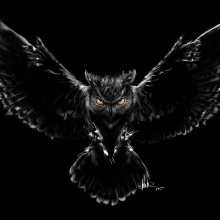 Nightlord