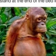 ILuvPoosay