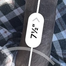 Prettypussylover