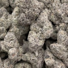Southbxup