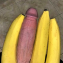 HornyToad1959