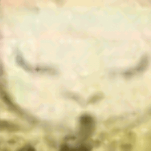JekZok