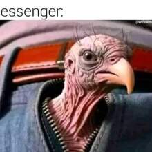 jeanclaudevansauce