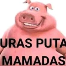 Pedro4567ass