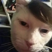 Dewey