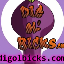 dig0lbick