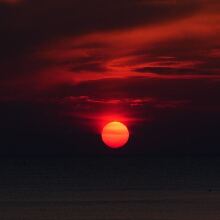 Bloodred0033