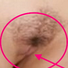 chieflandalpacatoto
