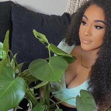 Lawskyy