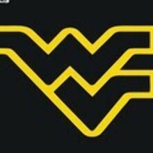 WvWolfCub